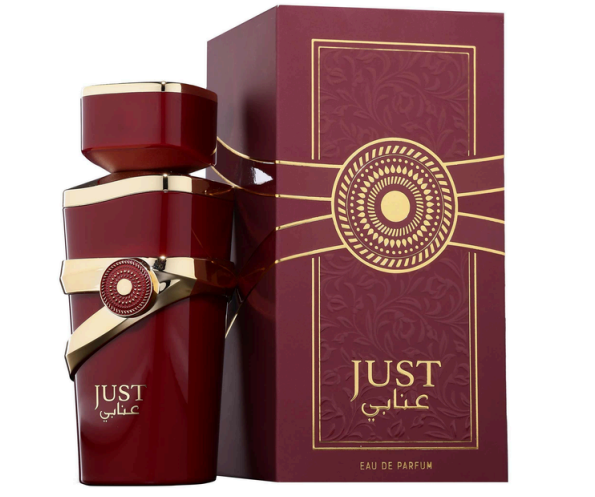 Just Anabi 100ml Eau de Parfum by Fragrance World